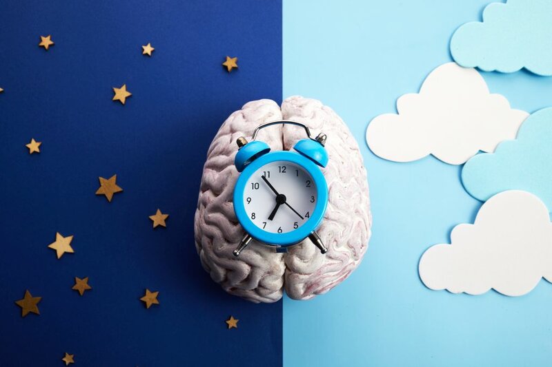 Eine Uhr und ein Gehirn versinnbildlichen die innere Uhr, für Schlaf-Wach-Rhythmus