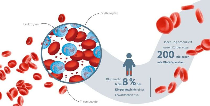 Check up, Bluttest, Blut, Schaubild, ias