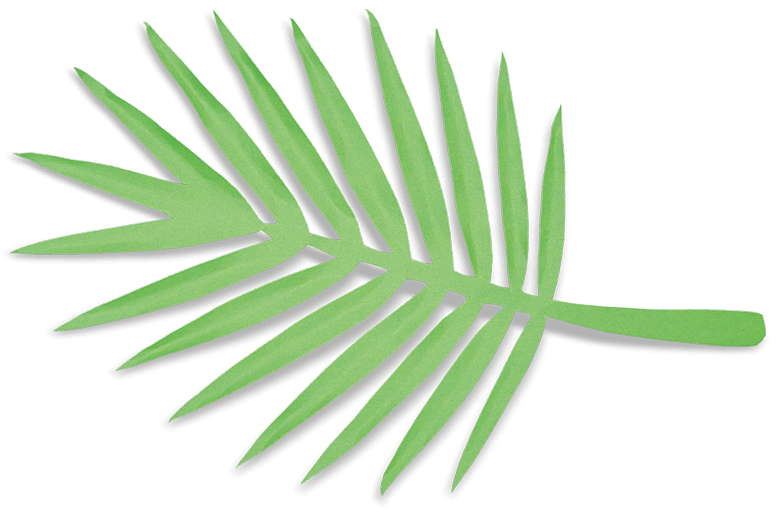 Palmblatt