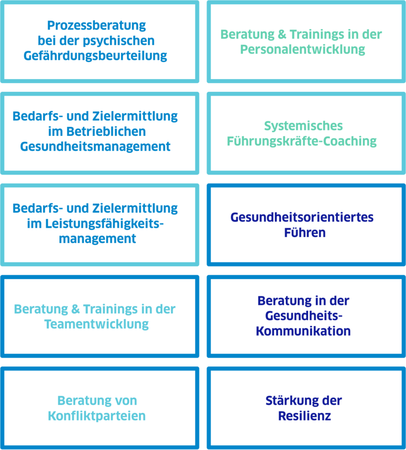 Organisationsentwicklung Themenfelder Organisationsentwicklung Themenfelder