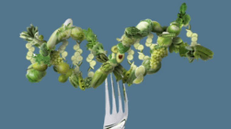 Eine Gabel spiesst Gemüse auf, das als DNA-Strang dargestellt ist