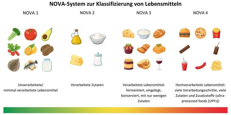 Eine Tabelle, die die sogenannte NOVA-Klassifizierung von Lebensmitteln anzeigt.