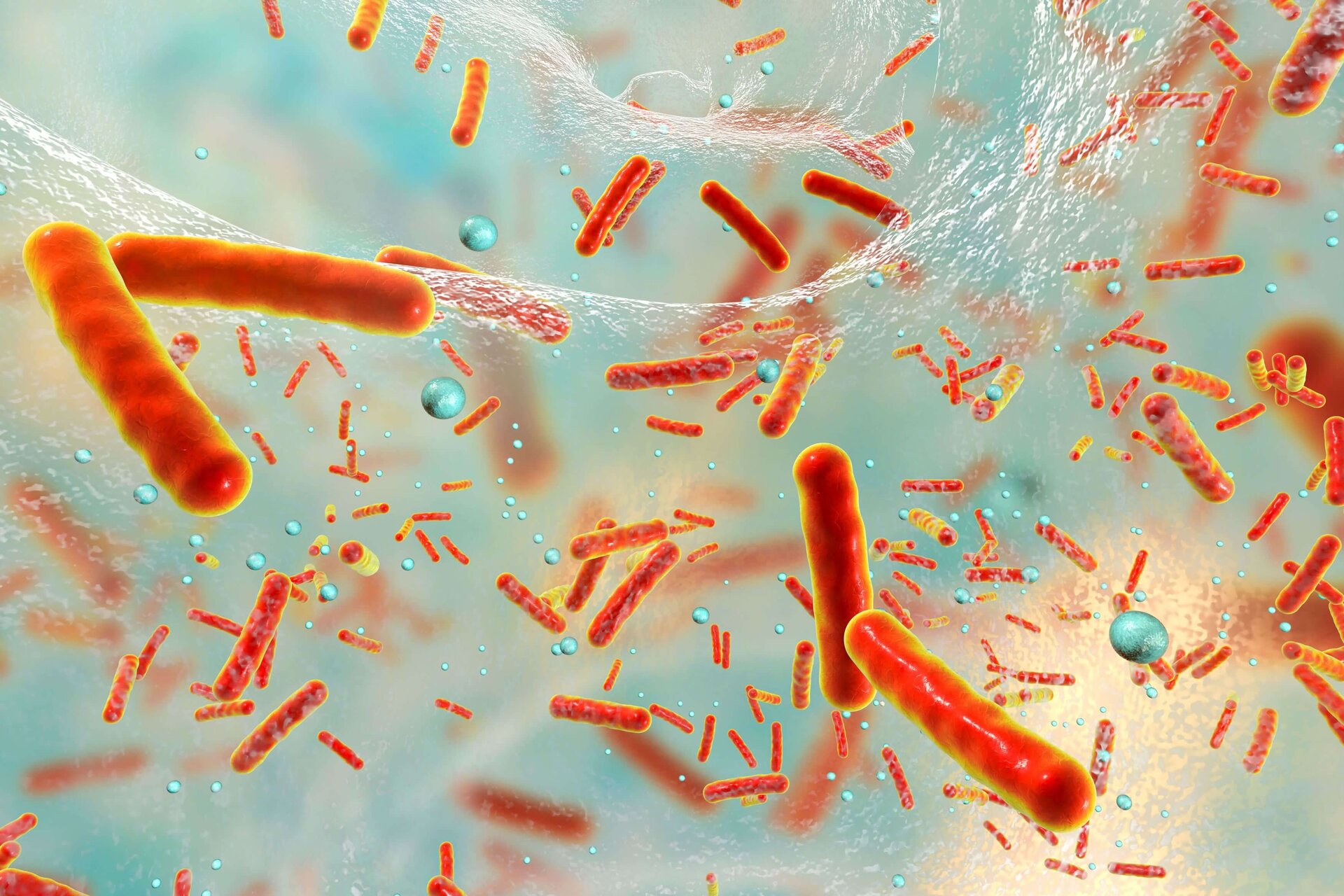 Antibiotikaresistente Bakterien in einem Biofilm, 3D-Illustration