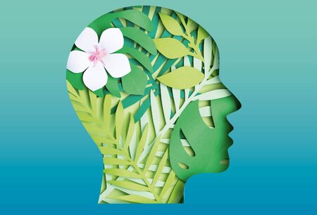 Illustration eines Kopfes, der aus Pflanzen geformt ist symbolisch für mentale Gesundheit 