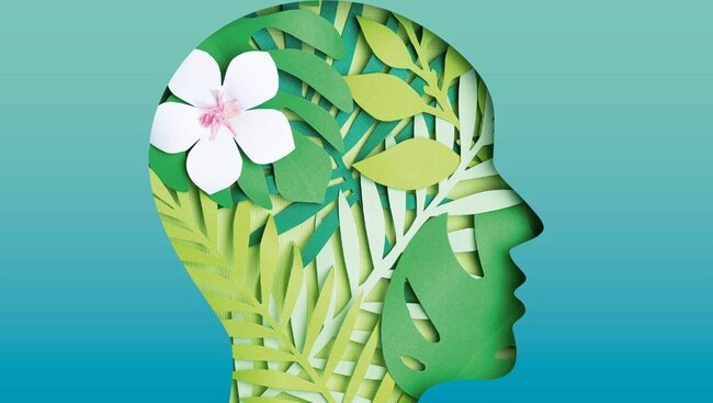 Mentale Gesundheit