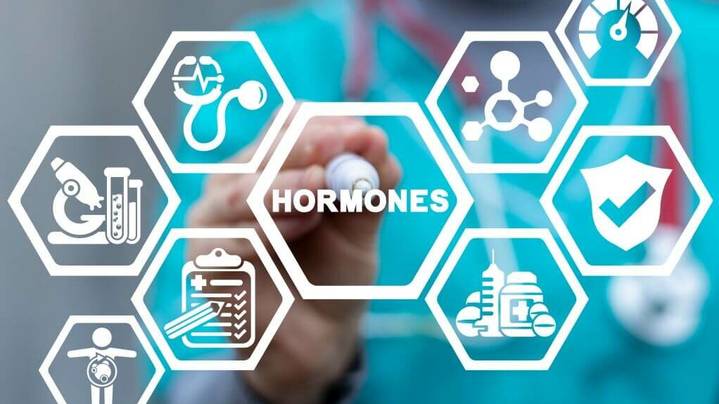 Grafik mit Rauten - Wirkung von Hormonen