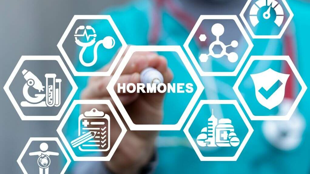 Grafik mit Rauten - Wirkung von Hormonen