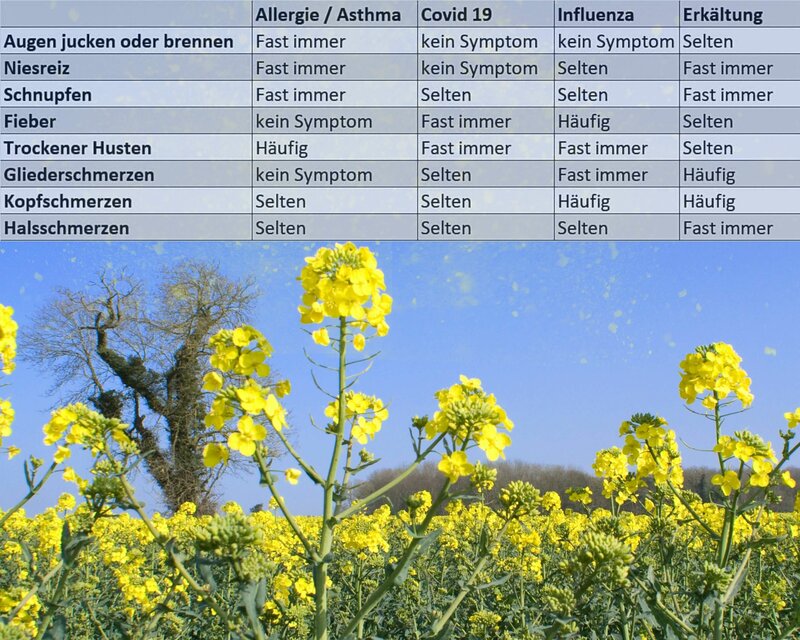 Unterschiede und Gemeinsamkeiten von Symptomen bei Allergie und Virusinfektion