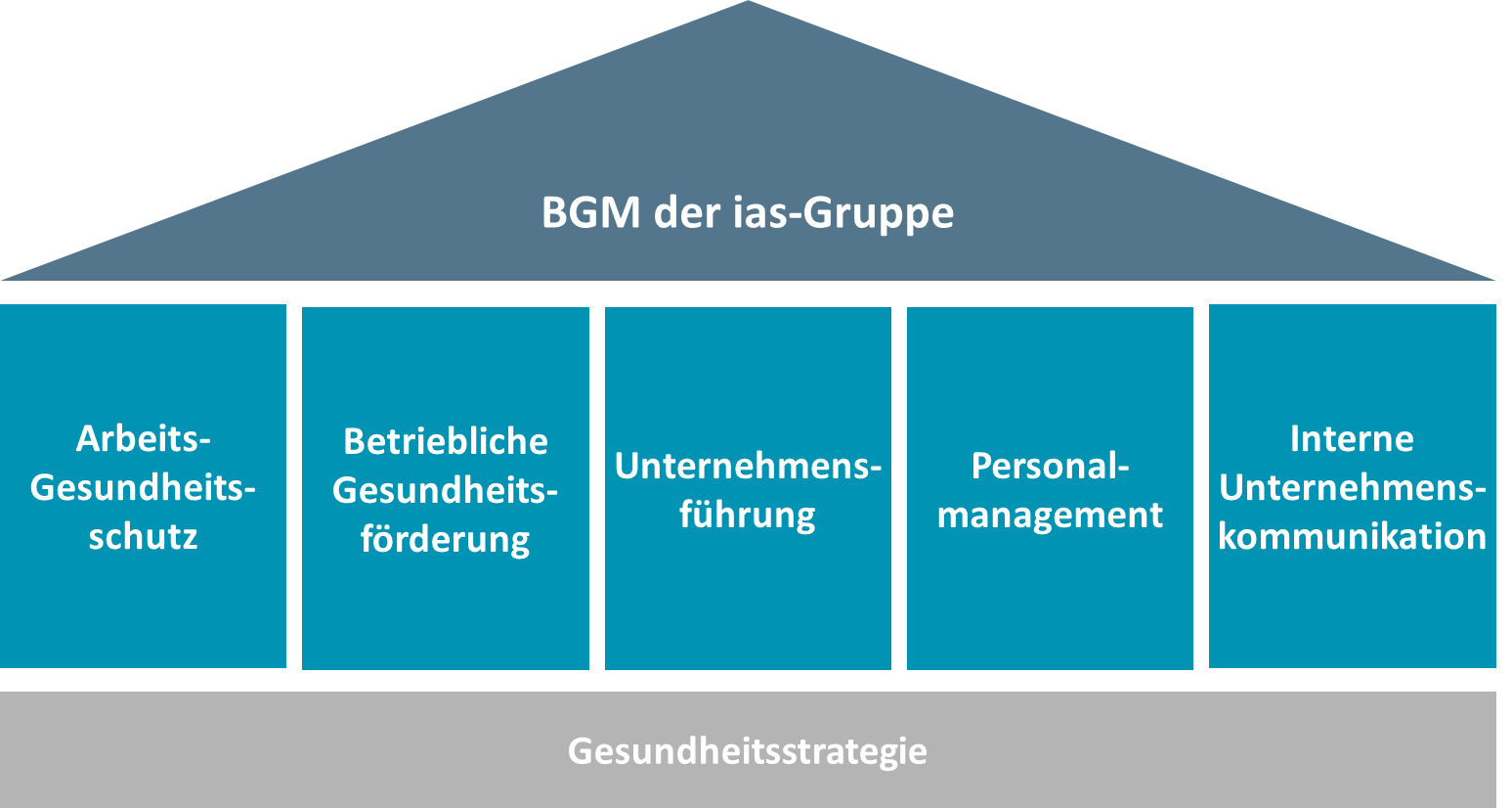 Die 5 Handlungsfelder im ias-BGM.